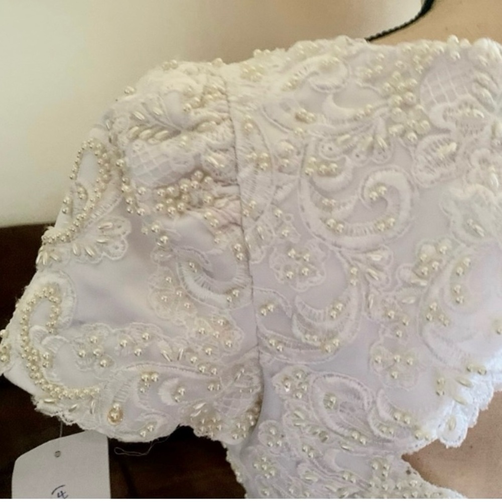 Elegant White Lace Wedding Dress by Amy Lee Hilton Bridal Size 4 - Picture 11 of 15